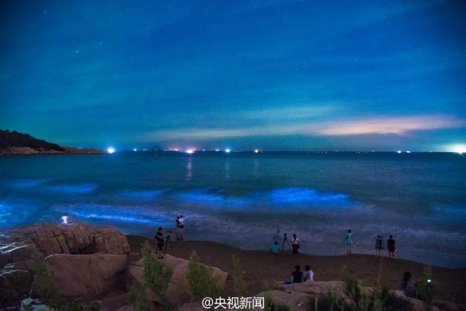 暴走大事件为什么说荆轲刺秦王-最全面的知识问答网站